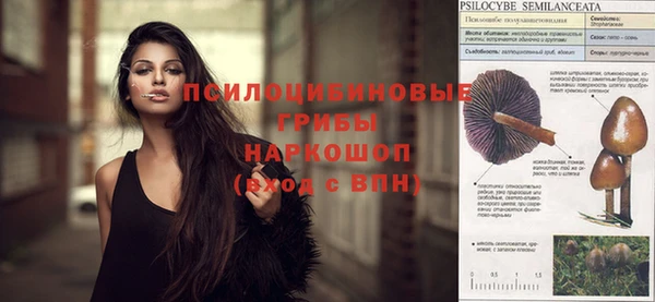 первитин Белоозёрский