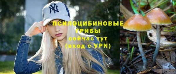 спиды Белокуриха